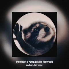 PEDRO ( NAURIUX REMIX ) ( EXTENDET MIX )