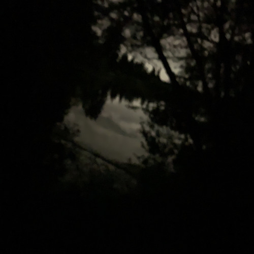 gottastopstayinguplate prodme