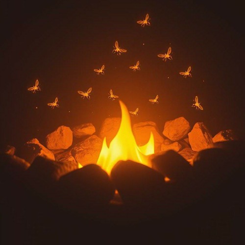 everything's burning