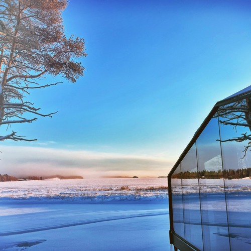 Frosty Day