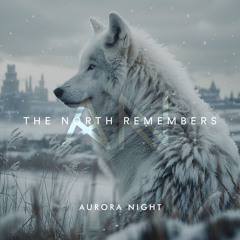 Aurora Night - The North Remembers