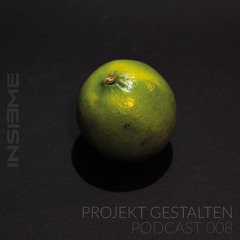 INSIEME Podcast 008 - Projekt Gestalten