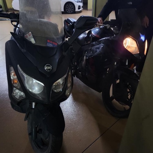 작약꽃 챌린지