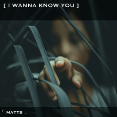 I Wanna Know You