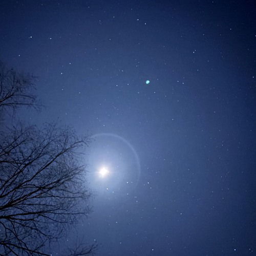 lying to the moon
