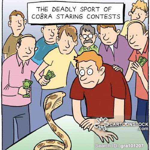 snake on me