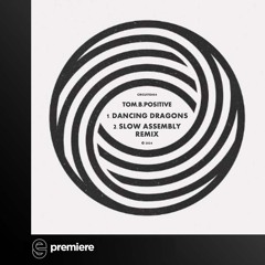 Premiere: tom.b.positive - Dancing Dragons (Slow Assembly Remix) - Circuit Grooves