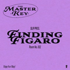 The Master Key 002 - Finding Figaro