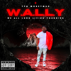 ypg MoneyMac - Night Wit Wally (Master)