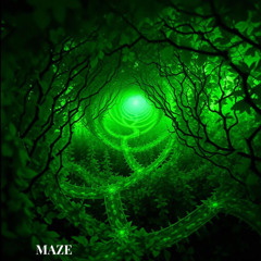 Lost in the Labyrinth