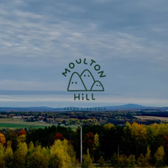 the five hour long dj set for Moulton Hill Ferme Cidricole 🏔⛅