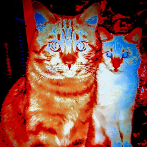 бас☆бит☆трап