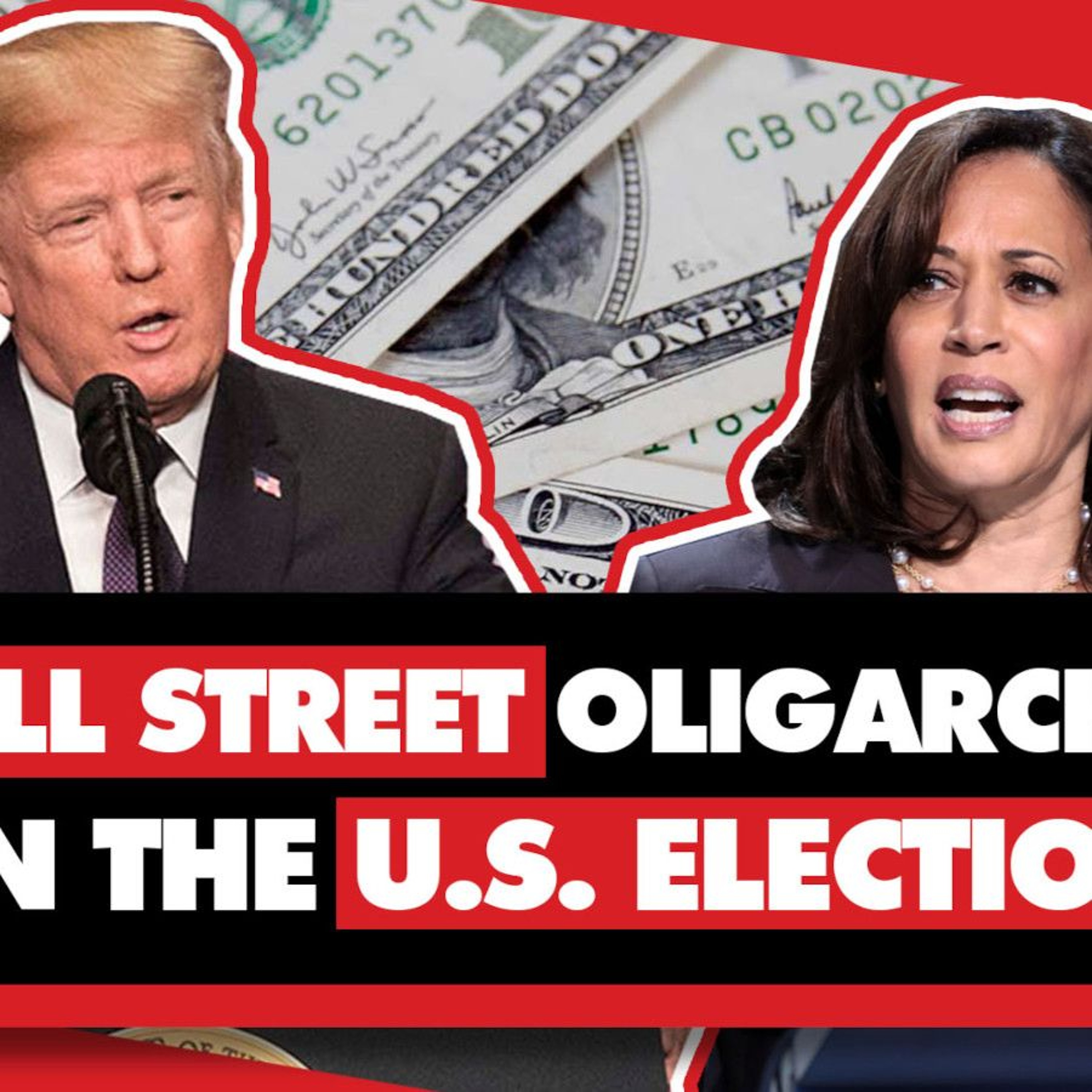 Billionare BlackRock CEO 'doesn't matter who wins US elections'