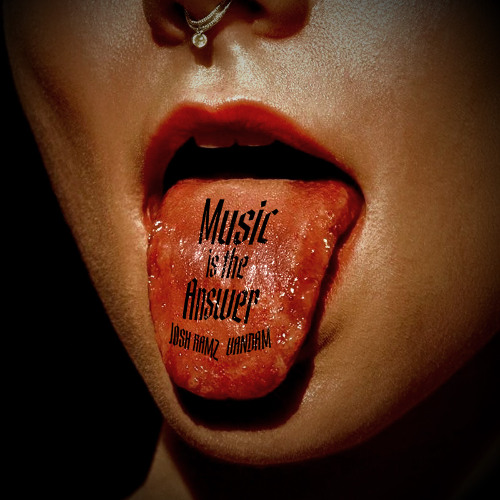 Music Is The Answer (VANDAM, Josh Ramz Remix) | Filtered For Copyright© | *FREE DOWNLOAD*