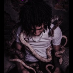 Freestyle 2
