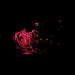 Fallen Rose (Absolute Valentine remix)