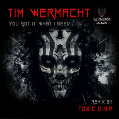 Tim Wermacht - You Got It What I Need (Original Mix)