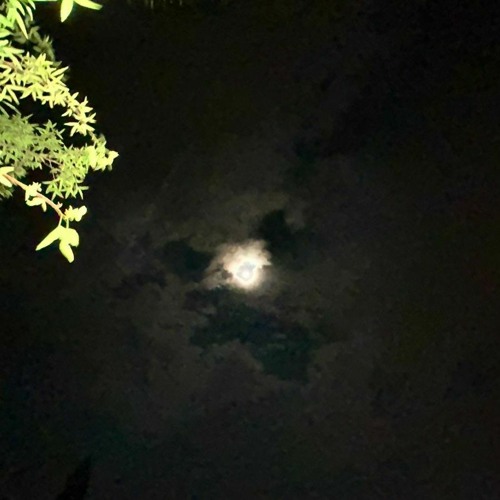 Big racks (ft Chromextaiyo,Jiggyboytax)[prod.KeedVinny]