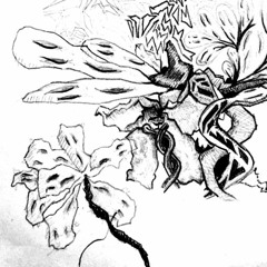 Collateral Damage Freestyle