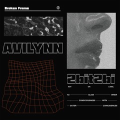 Avilynn & 2bit2bi - Broken Frame [Not On Label 001]