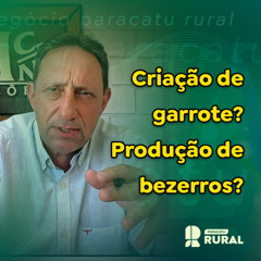 Criação de garrotes e produção de bezerros são boas oportunidades para junho.