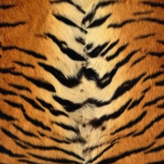 ansho - Eyes Roll/Unorthodox [Saveani FM Exclusive]