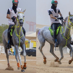 النصر يوم الختامي⚔️