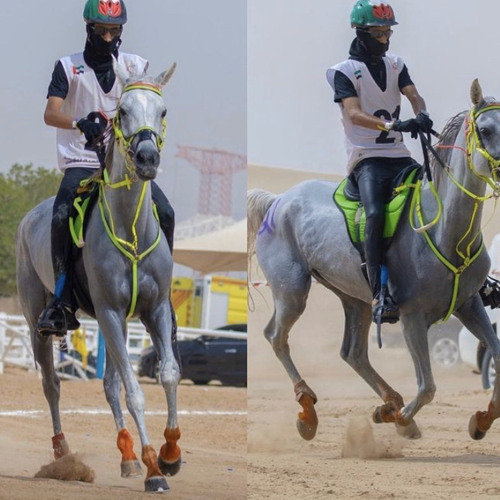 النصر يوم الختامي⚔️