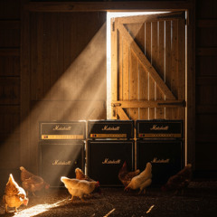 Let's Go Rick! (Taranaki Thunder)