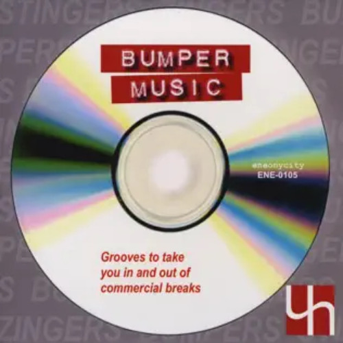 If I Could Do It Again (Bumper Edit)