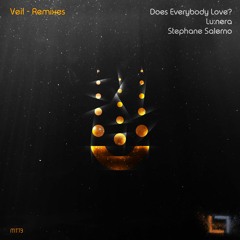 Biskuwi - Veil (Does Everybody Love? Remix)