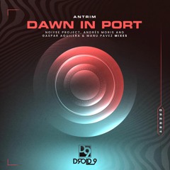 PREMIERE: Antrim - Dawn in Port (NOISYE PROJECT Remix) [Droid9]