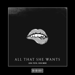 Luca Testa & RICH MORE - All That She Wants [Techno Remix]