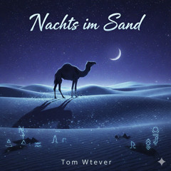 Nachts im Sand