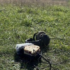 Felisha Ledesma w/ Jasmine Wood 280226