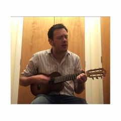 All the small things (cover)