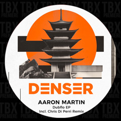 PREMIERE: Aaron Martin - Dubflo (Chris Di Perri Remix) [DENSER]