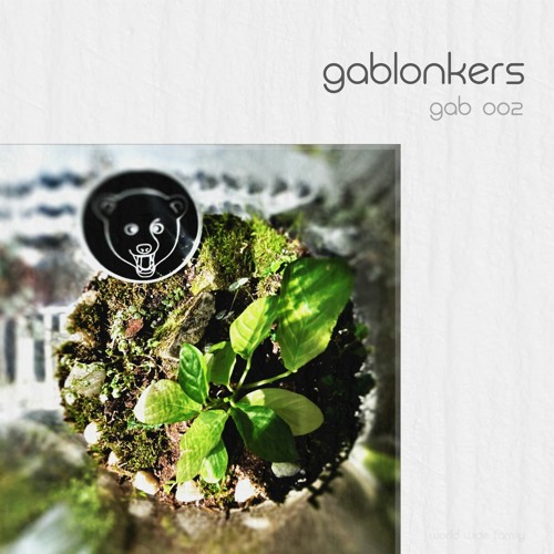 GAB 002 - NethirnetACD SNS