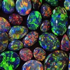 Vienna Before Midnight