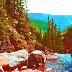 Four Year Puma :: Live in Vail :: 8.12.2005