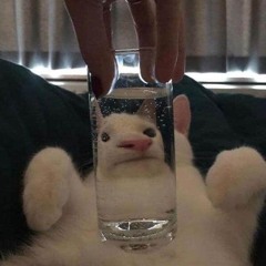 미친 세상..내가 먼저 미치면 돼