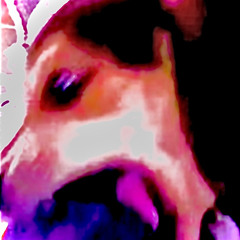 FOR ALL MY DOGS (DIE HIGH)