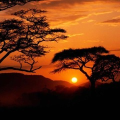Geiger Zambrano - Sunset in Africa