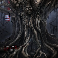 EATBRAIN 241 // Burr Oak & Pythius & REEBZ - Black Tears
