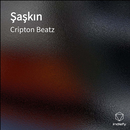 Şaşkın Album Cover