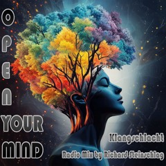 Open your mind (Richard Steinschlag Radio Mix)