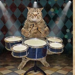 drum_n_bass_cat