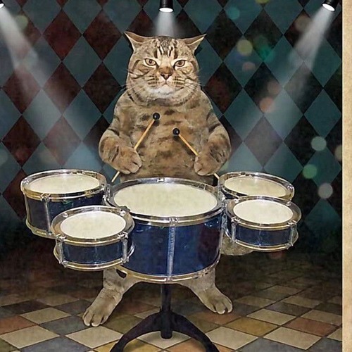 drum_n_bass_cat