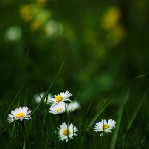 361 inspiring background music FREE DOWNLOAD