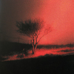 it only gets better from here hoodtrap @prodmku